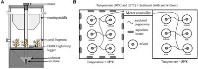 Short Term Exposure to Heat and Sediment Triggers Changes in Coral Gene Expression and Photo-Physiological Performance